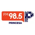 Rádio Princesa FM - Xanxerê / SC - Ouça ao vivo