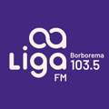 Liga FM Borborema - Campina Grande / PB - Ouça ao vivo