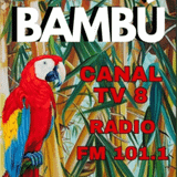 FM Bambu