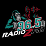 Rádio Z FM - undefined / undefined - Ouça ao vivo