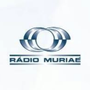 Rádio Muriaé